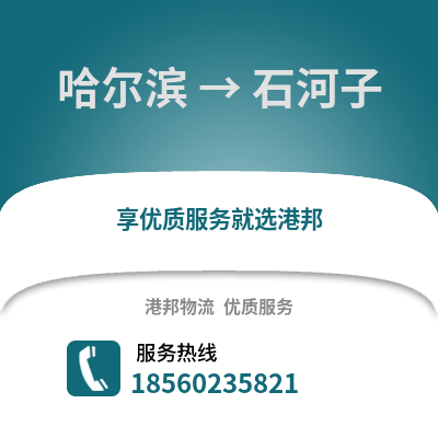 哈尔滨到石河子物流专线_哈尔滨到石河子货运专线公司