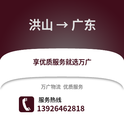 武汉洪山到广东物流专线_武汉洪山到广东货运专线公司