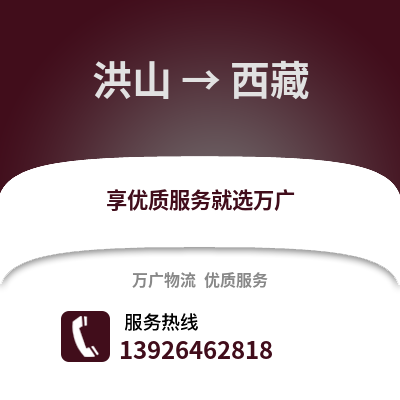 武汉洪山到西藏物流专线_武汉洪山到西藏货运专线公司