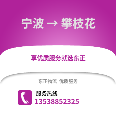 宁波到攀枝花物流公司,宁波到攀枝花货运,宁波至攀枝花物流专线2