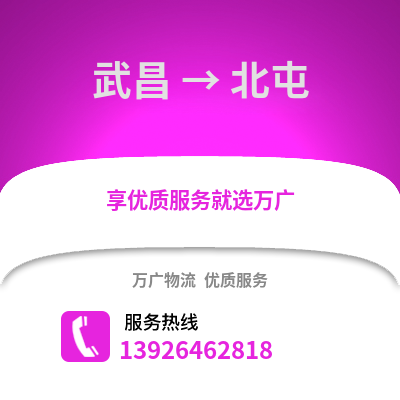 武汉武昌到北屯物流专线_武汉武昌到北屯货运专线公司