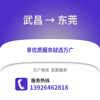 武汉武昌到东莞物流专线_武汉武昌到东莞货运专线公司