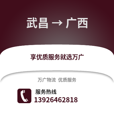 武汉武昌到广西物流专线_武汉武昌到广西货运专线公司