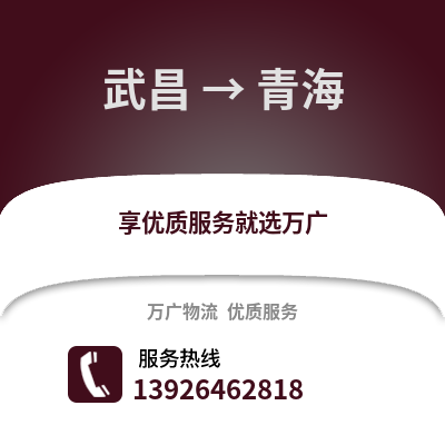 武汉武昌到青海物流专线_武汉武昌到青海货运专线公司