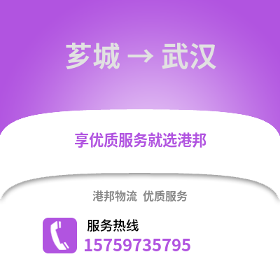 漳州芗城到武汉物流专线_漳州芗城到武汉货运专线公司